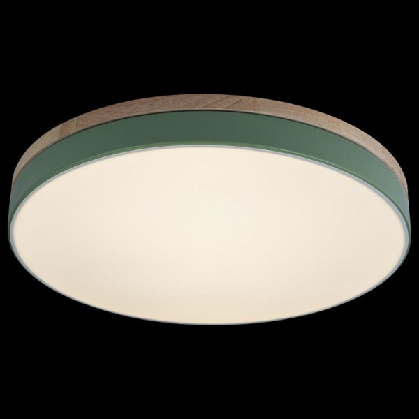 Открыть Накладной светильник Loft it Axel 10001/36 Green Фото Накладной светильник Loft it Axel 10001/36 Green