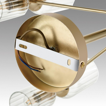 Фото Люстра на штанге Lumion Kassia 6586/16