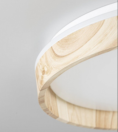 Фото Накладной светильник Citilux ENZO CL753352G