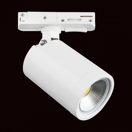 Фото Светильник на штанге Lightstar Rullo 212936