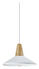 Фото Подвесной светильник Moderli Luce V1571-1P