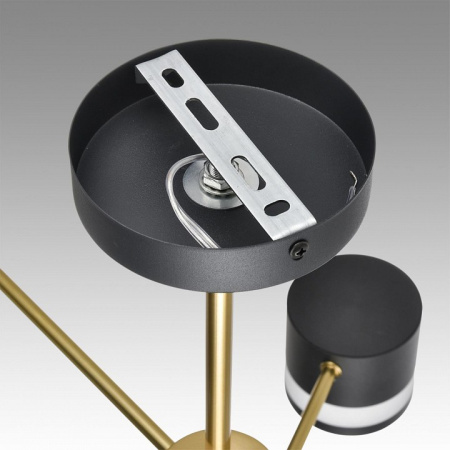 Фото Люстра на штанге Lumion Lanika 8240/6C