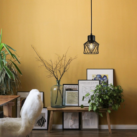 Фото Подвесной светильник Escada Averio 10174/1S Black