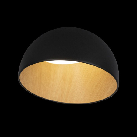 Открыть Накладной светильник Loft it Egg 10197/350 Black Фото Накладной светильник Loft it Egg 10197/350 Black
