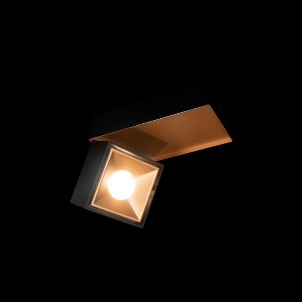 Фото Накладной светильник Loft it Knof 10324/B Gold Black