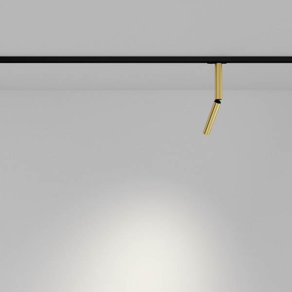 Фото Светильник на штанге Maytoni Focus T TR142-1-6W3K-BS