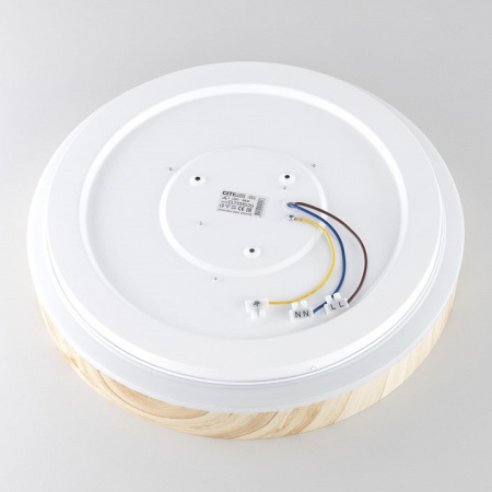 Фото Накладной светильник Citilux ENZO CL753352G