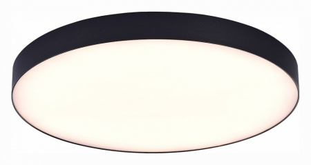 Фото Накладной светильник ST-Luce ST606 ST606.432.96