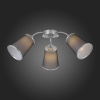 Открыть Потолочная люстра EVOLUCE Maleonte SLE103002-03 Фото Потолочная люстра EVOLUCE Maleonte SLE103002-03