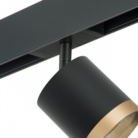 Фото Светильник на штанге Lightstar Rullo PRO348790