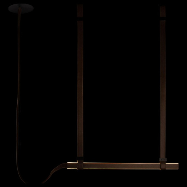 Фото Подвесной светильник Loft it Strong 10241/1000