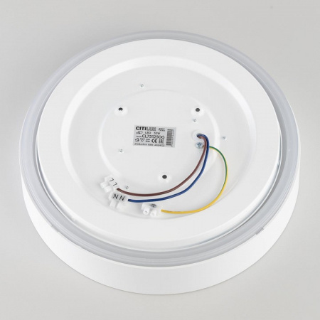 Фото Накладной светильник Citilux BOSS CL751250G
