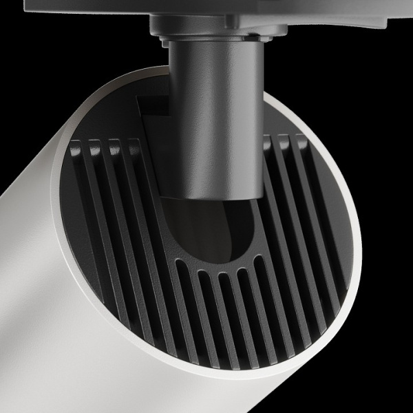 Фото Светильник на штанге Maytoni Focus S TR020-1-U-GU10-BS