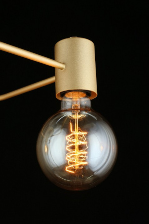 Фото Потолочная люстра Aployt Elison APL.911.07.03