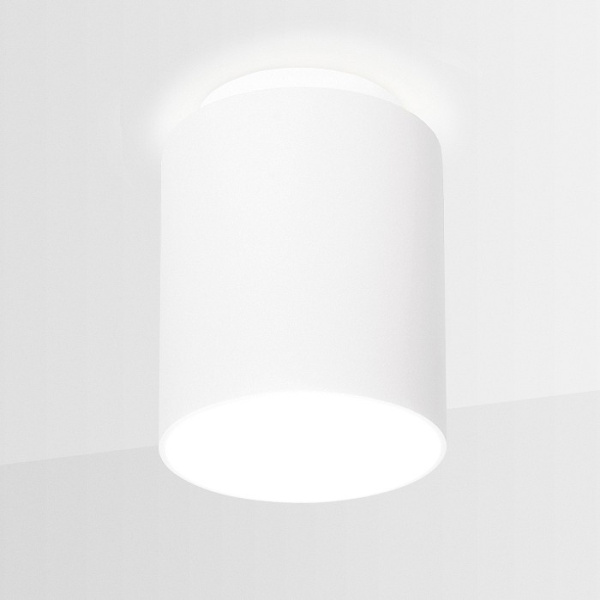 Фото Накладной светильник Ambrella Light TN TN260