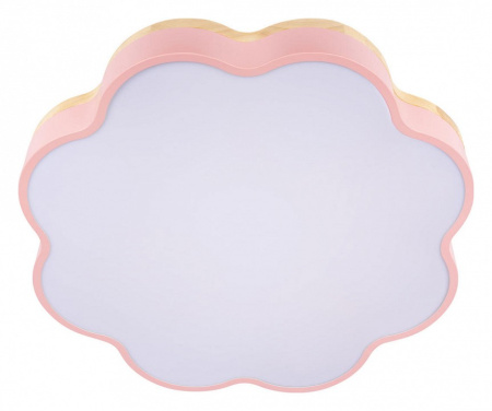 Фото Накладной светильник Loft it Axel 10225/36 Pink