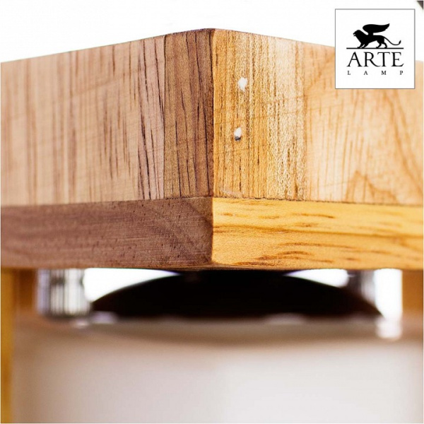 Фото Накладной светильник Arte Lamp Woods A8252PL-1BR