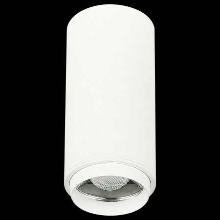 Фото Накладной светильник ST-Luce Zoom ST600.532.10