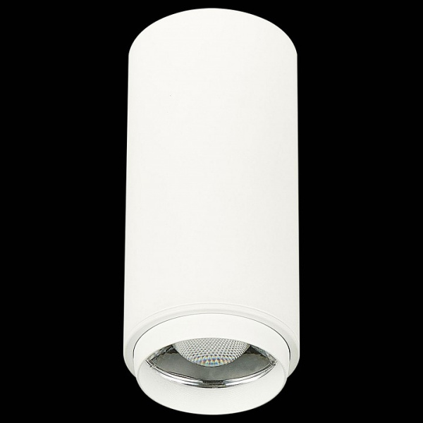 Фото Накладной светильник ST-Luce Zoom ST600.532.10