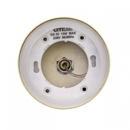 Фото Подвесной светильник Citilux Hardy CL002P12