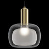 Фото Подвесной светильник Maytoni Vision MOD411PL-01G