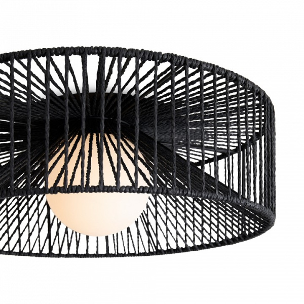 Фото Накладной светильник Freya Cottage FR5405CL-01B