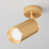 Открыть Спот Maytoni Focus Design C034CL-01G Фото Спот Maytoni Focus Design C034CL-01G