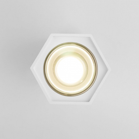 Фото Накладной светильник Elektrostandard 25036/LED a055856