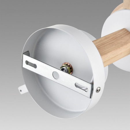 Фото Люстра на штанге Lumion Colange 8095/6C