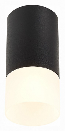 Фото Накладной светильник ST-Luce ST100 ST100.412.01