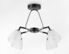 Открыть Люстра на штанге Ambrella Light TR TR303293 Фото Люстра на штанге Ambrella Light TR TR303293