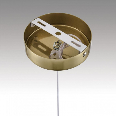 Фото Подвесной светильник Lumion Solida 8087/1A