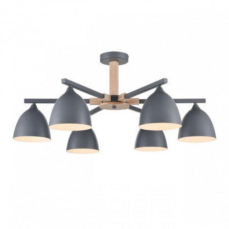 Фото Люстра на штанге Lumion Colange 8096/6C