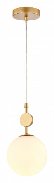 Фото Подвесной светильник Favourite Absolute 2928-1P