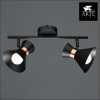 Открыть Спот Arte Lamp Baltimore A1406AP-2BK Фото Спот Arte Lamp Baltimore A1406AP-2BK