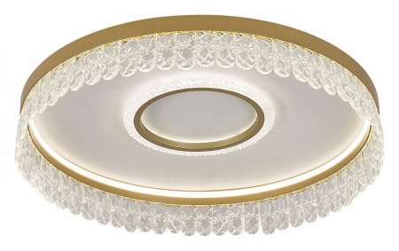 Фото Накладной светильник F-promo Lunetta 4186-2C