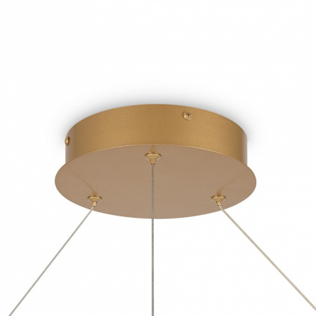 Фото Подвесной светильник Maytoni Rim MOD058PL-L65BSK