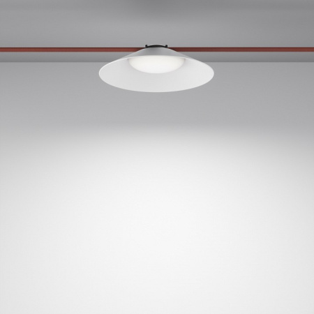 Фото Подвесной светильник Maytoni Campana TR127B-12W4K-W