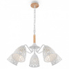 Открыть Подвесная люстра Freya Nendo FR5138PL-05W Фото Подвесная люстра Freya Nendo FR5138PL-05W
