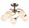 Люстра на штанге Ambrella Light TR TR3199 Люстра на штанге Ambrella Light TR TR3199