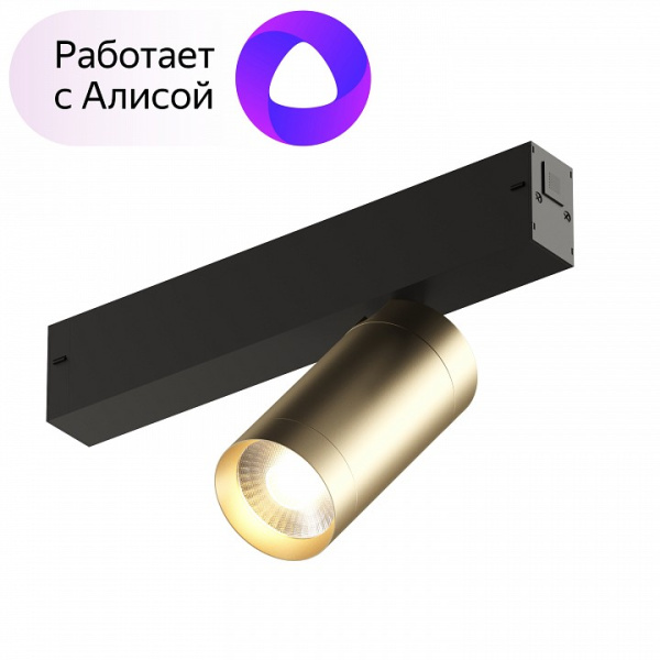 Фото Светильник на штанге Denkirs Smart DK8010-BG