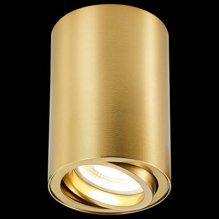 Фото Накладной светильник ST-Luce ST108 ST108.207.01