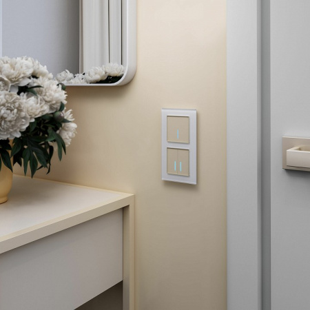 Фото Выключатель двухклавишный с подсветкой без рамки Werkel шампань W4520011