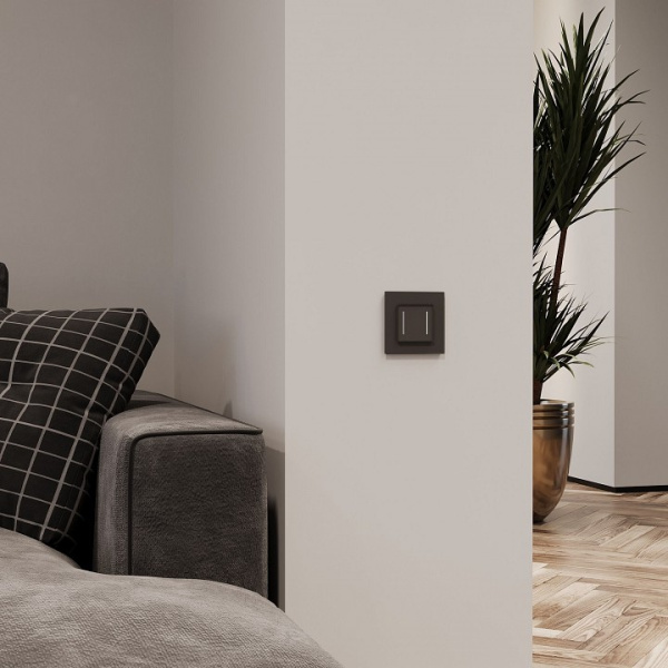 Фото Выключатель сенсорый двухклавишный с подсветкой и функцией Wi-Fi, без рамки Werkel черный W4523008