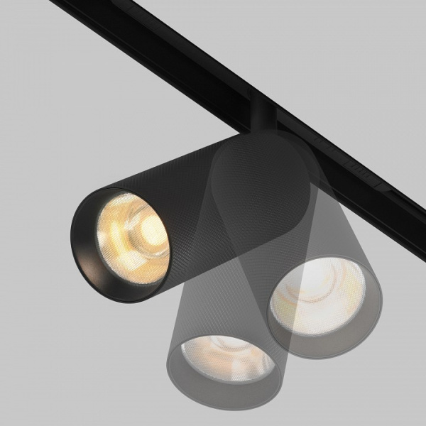 Фото Светильник на штанге Maytoni Artisan TR097-2-12W2.7K-M-BB