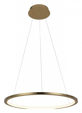 Фото Подвесной светильник Loft it Ring 10014M