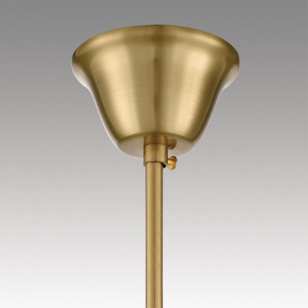 Фото Подвесная люстра Lumion Kristina 8243/8