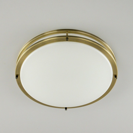 Фото Накладной светильник Citilux Бостон CL709503N