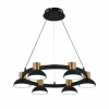 Открыть Подвесная люстра Indigo Traforo 11059/6P Black Фото Подвесная люстра Indigo Traforo 11059/6P Black
