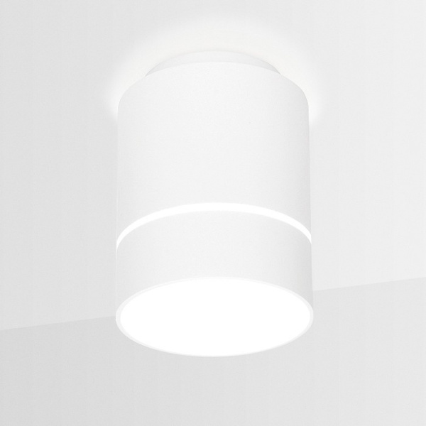 Фото Накладной светильник Ambrella Light TN TN255